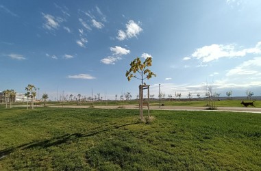 Parque Norte en la zona de Rosales del Canal, junto a Sinfonía del Canal